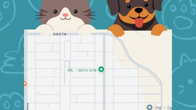 Imagen de WhatsApp 2025-08-25 a las 17.18.04_f07884cf