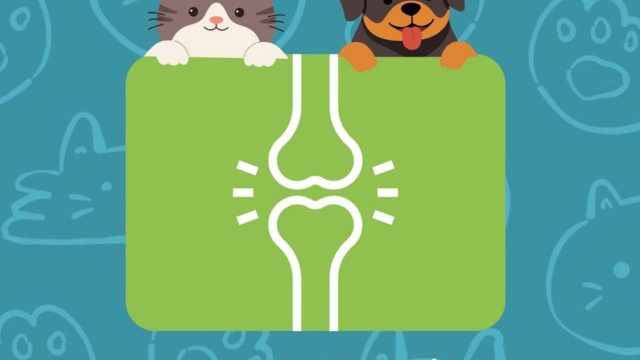 Imagen de WhatsApp 2025-08-25 a las 17.18.04_f6c91b15